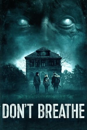 Don't Breathe (2016) Hindi Dual Audio 480p BluRay 300MB Don't Breathe (2016) Hindi Dual Audio 480p BluRay 300MB