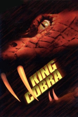 King Cobra 1999 110mb Hindi Dual Audio movie Hevc WebDL Download King Cobra 1999 110mb Hindi Dual Audio movie Hevc WebDL Download