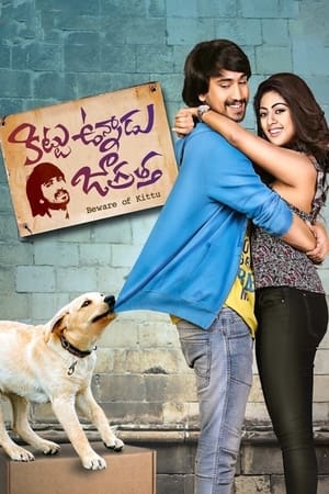 Kittu Unnadu Jagratha 2017 Hindi Dual Audio 480p UnCut HDRip 400MB Kittu Unnadu Jagratha 2017 Hindi Dual Audio 480p UnCut HDRip 400MB