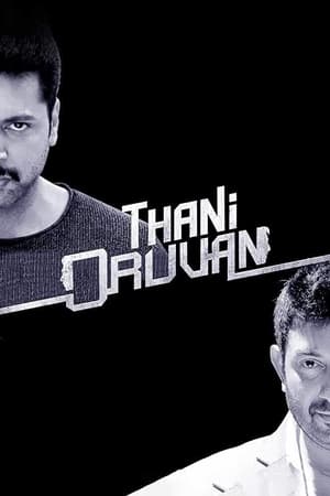 Thani Oruvan 2015 220mb Hindi - Tamil Dubbed movie Hevc Download Thani Oruvan 2015 220mb Hindi - Tamil Dubbed movie Hevc Download