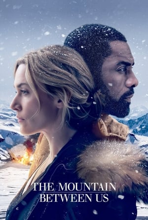 The Mountain Between Us 2017 Dual Audio Hindi 480p Bluray 350MB The Mountain Between Us 2017 Dual Audio Hindi 480p Bluray 350MB
