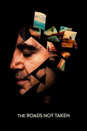 The Roads Not Taken (2020) Hindi Dual Audio HDRip 720p – 480p The Roads Not Taken (2020) Hindi Dual Audio HDRip 720p – 480p